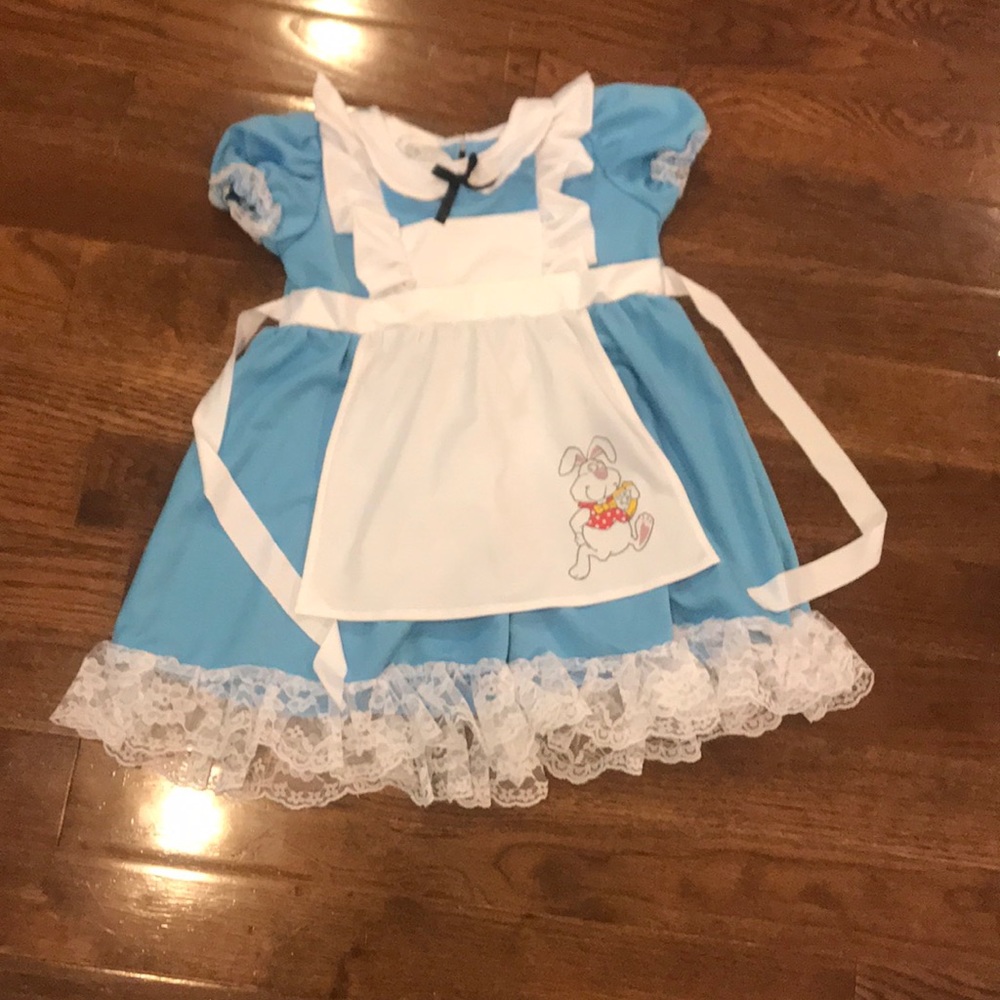 Alice in Wonderland Costume